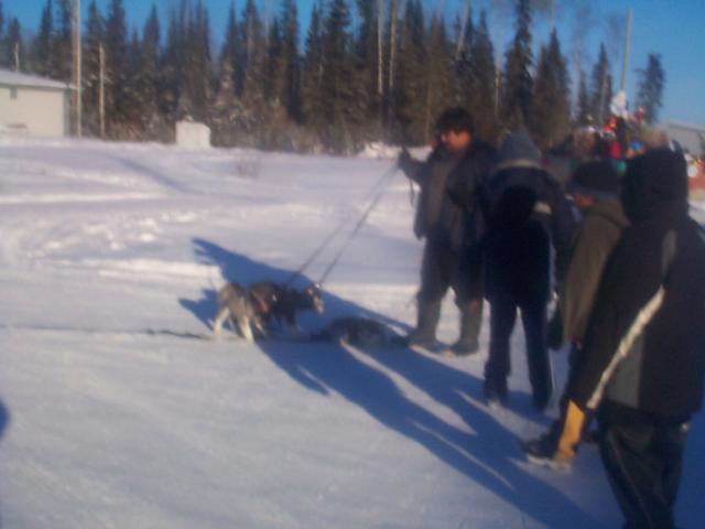 dogsled too...