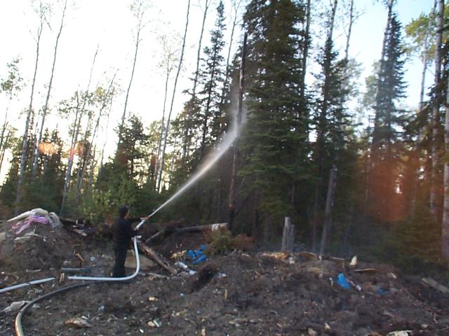 One of the trees caught fire, so the volunteer firemen had to put it out.