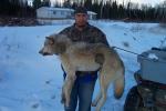 Wolf killed around Keewaywin