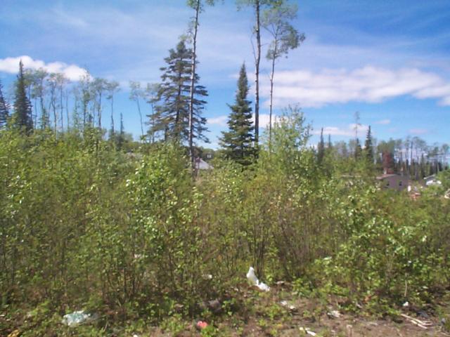 took this this afternoon. june 14, everythings all green at keewaywin