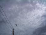 Just thought I would snap a shot of a plane flying overhead. This plane circled around like two times
